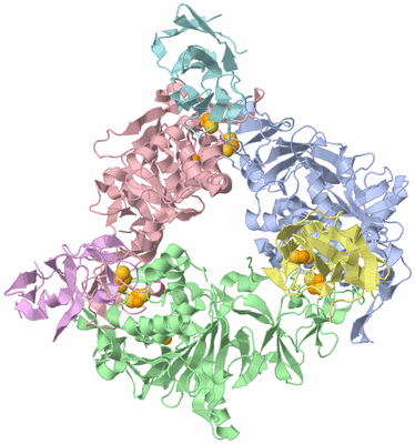 Image Asym./Biol. Unit