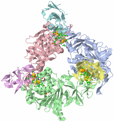 Image Asym./Biol. Unit - sites