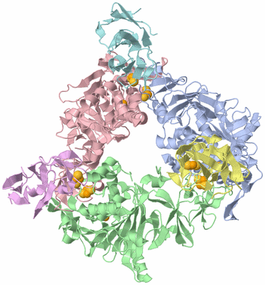 Image Asym./Biol. Unit