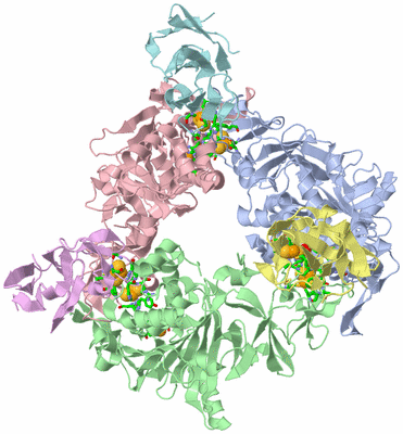 Image Asym./Biol. Unit - sites