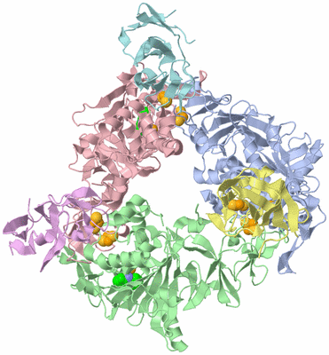 Image Asym./Biol. Unit