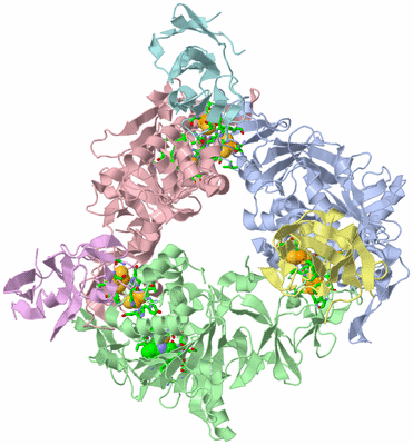 Image Asym./Biol. Unit - sites