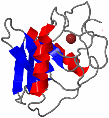 Image NMR Structure - model 1