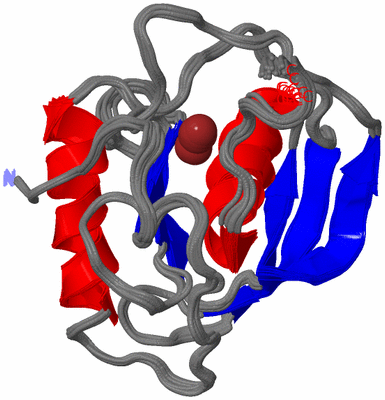 Image NMR Structure - all models