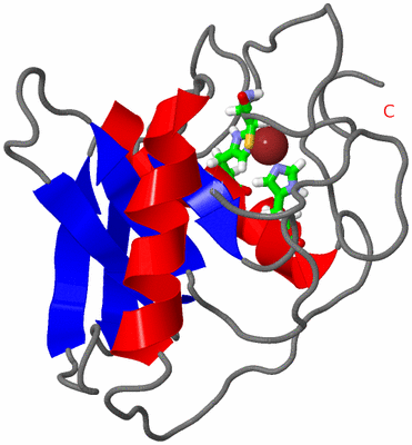 Image NMR Structure - model 1, sites