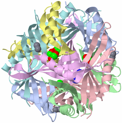 Image Biological Unit 1