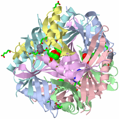 Image Biol. Unit 1 - sites