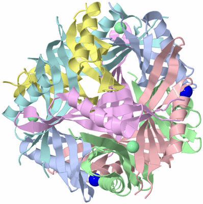 Image Biological Unit 1