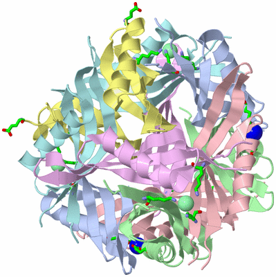 Image Biol. Unit 1 - sites