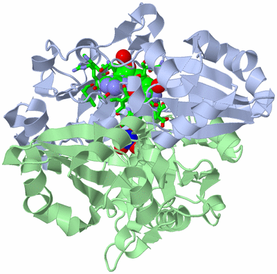 Image Biol. Unit 1 - sites