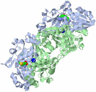 Image Biological Unit 2