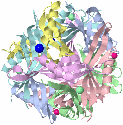 Image Biological Unit 1