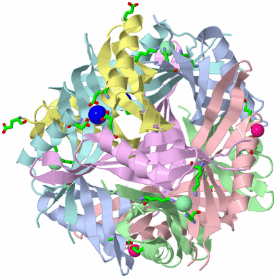 Image Biol. Unit 1 - sites