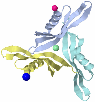 Image Biological Unit 3