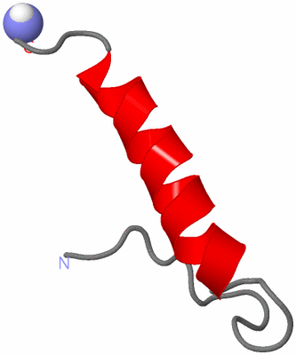 Image NMR Structure - model 1