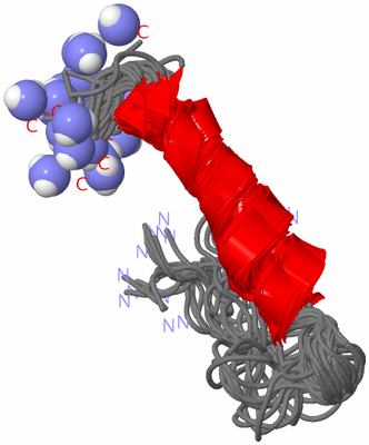 Image NMR Structure - all models