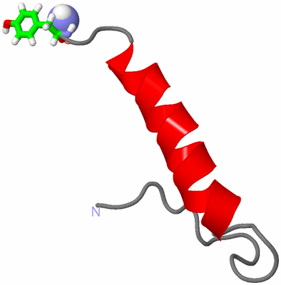 Image NMR Structure - model 1, sites