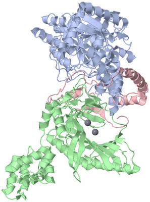 Image Asym./Biol. Unit