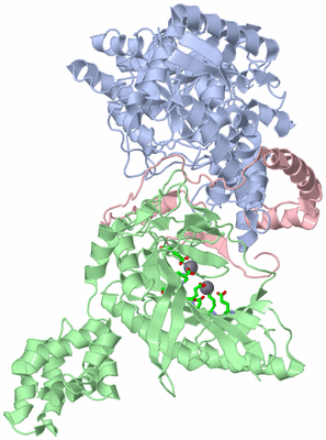 Image Asym./Biol. Unit - sites