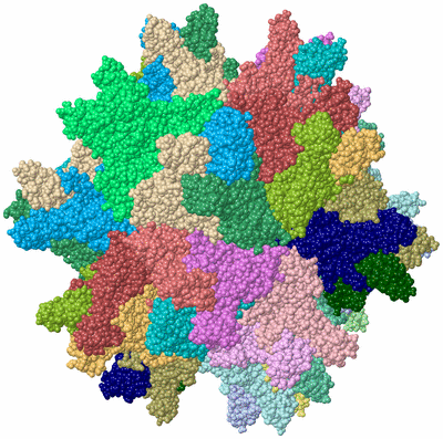 Image Biol. Unit 1 - sites