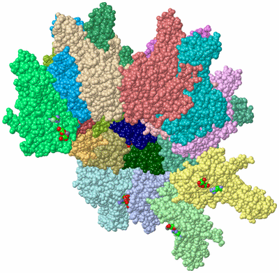 Image Asym. Unit - sites