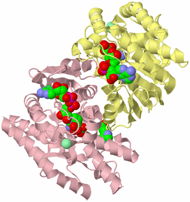 Image Biological Unit 2