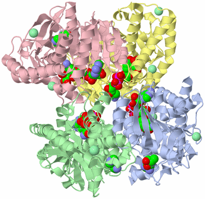 Image Biological Unit 3