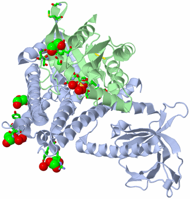 Image Biol. Unit 1 - sites