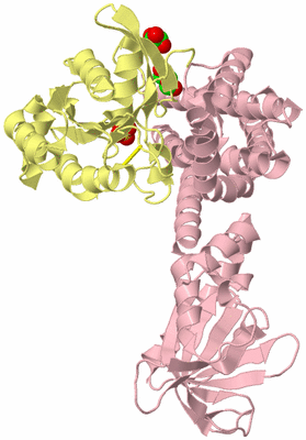 Image Biological Unit 2