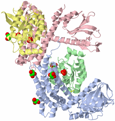 Image Biological Unit 3