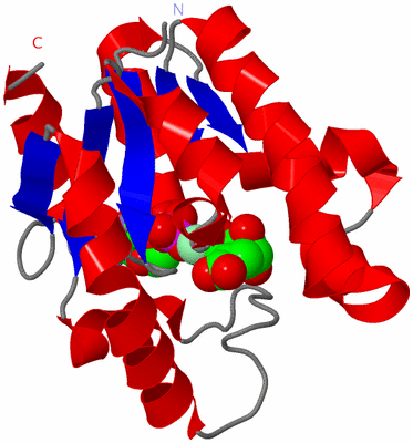 Image Asym./Biol. Unit