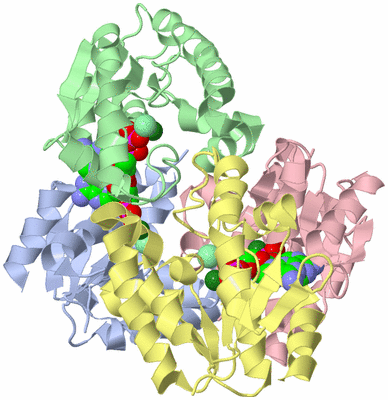 Image Asym./Biol. Unit