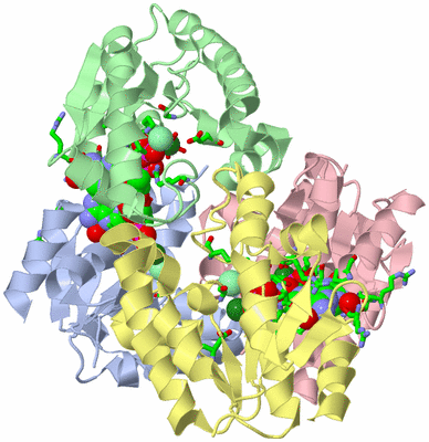 Image Asym./Biol. Unit - sites