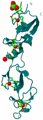 Image Biol. Unit 1 - sites