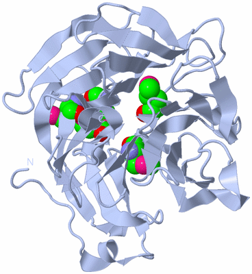 Image Biological Unit 1