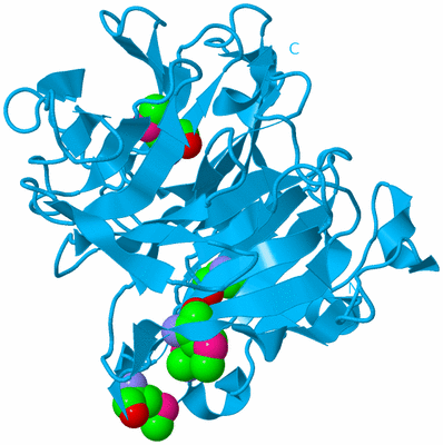 Image Biological Unit 10