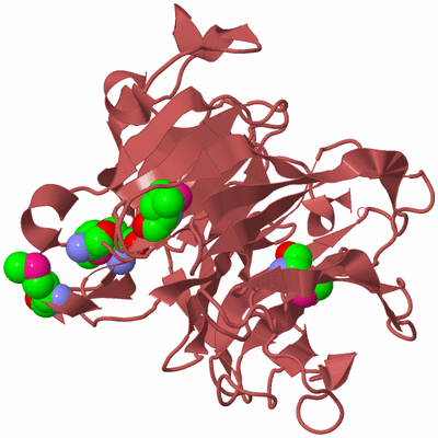 Image Biological Unit 11