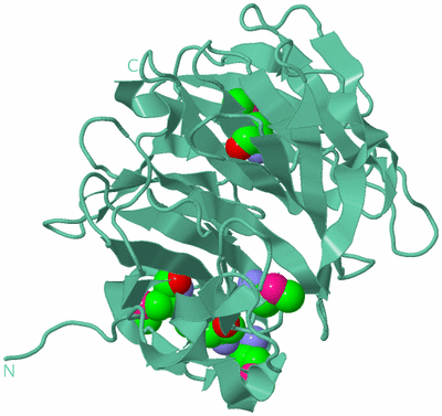 Image Biological Unit 12