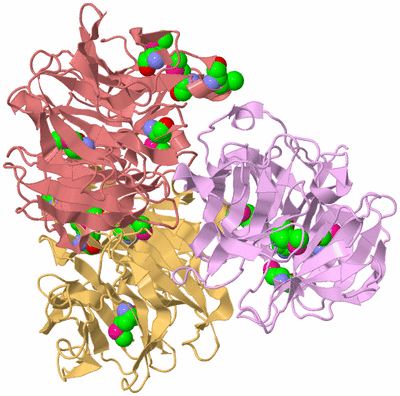 Image Biological Unit 13