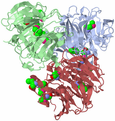 Image Biological Unit 14