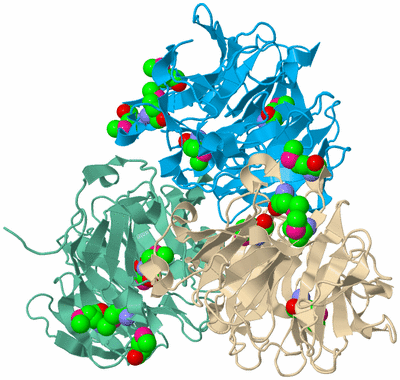 Image Biological Unit 15