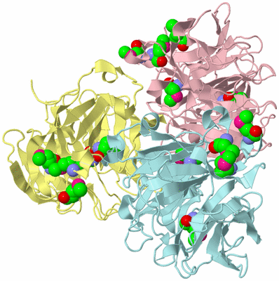 Image Biological Unit 16