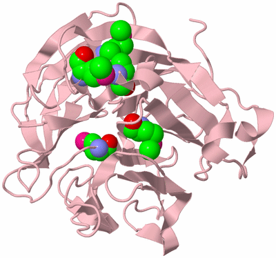 Image Biological Unit 3