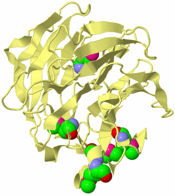 Image Biological Unit 4