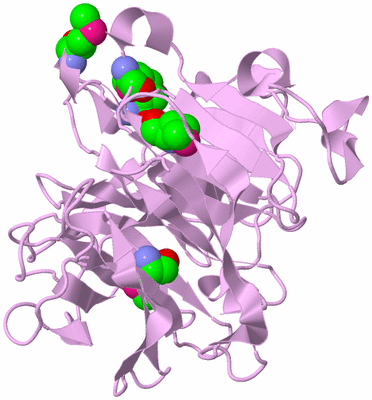 Image Biological Unit 5