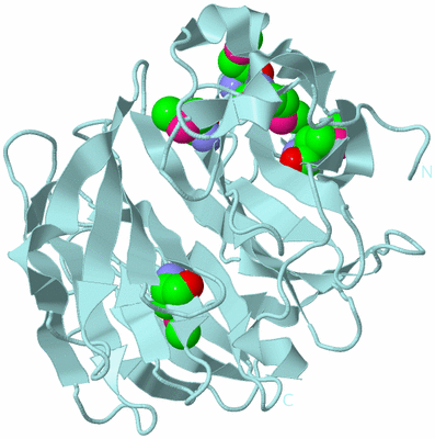 Image Biological Unit 6