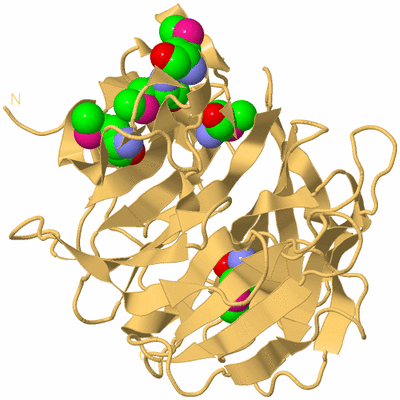 Image Biological Unit 7