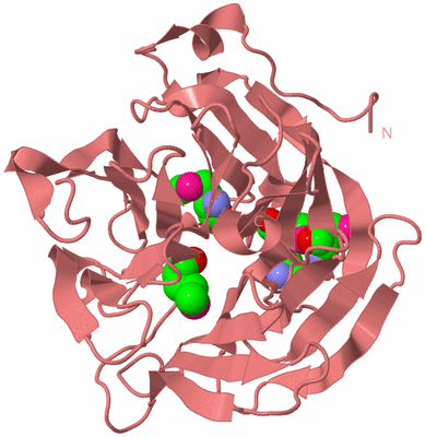 Image Biological Unit 8