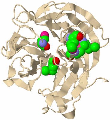 Image Biological Unit 9