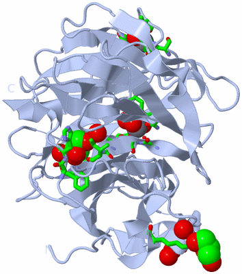 Image Biol. Unit 1 - sites